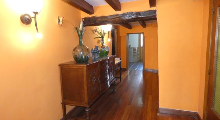 P1050687