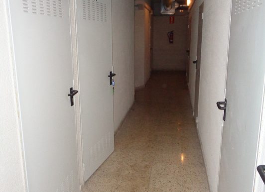 DSC00575