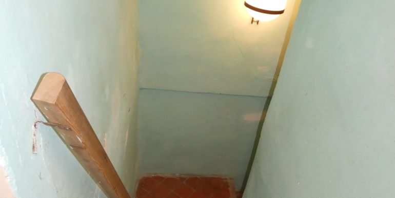 P1110265