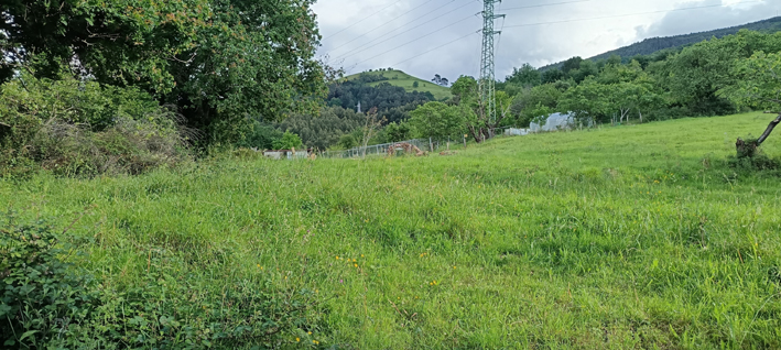 IMG_20260510_185902
