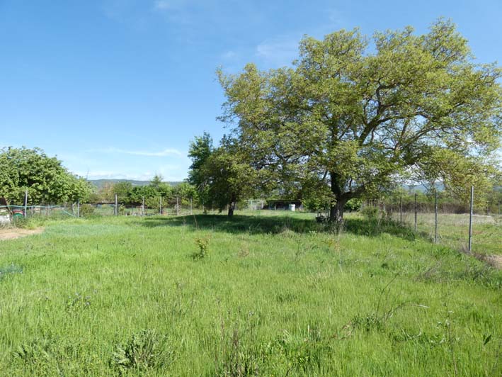 P1120438